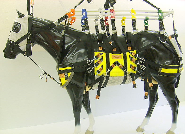 HALTER Project Equipment and Resources